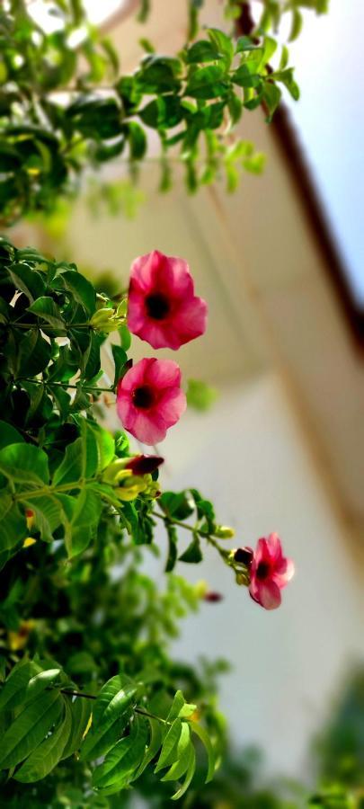 Dulaa Deema Residence Brufut Heights Tranquil ภายนอก รูปภาพ